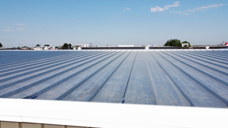 Photo Mar 25 2026, 10 06 02 PM (1)